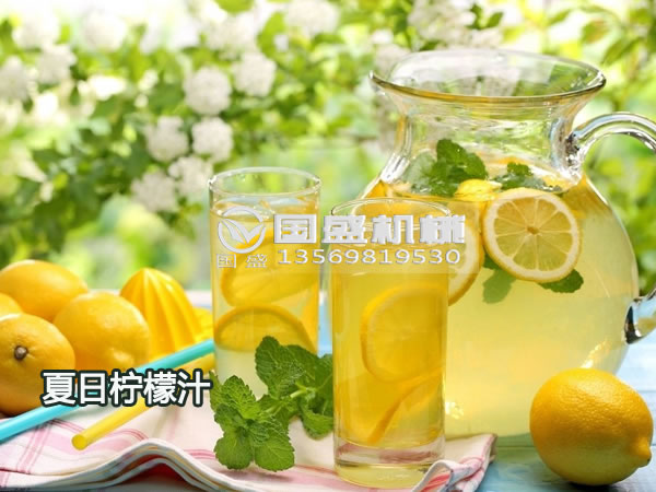 柠檬螺旋榨汁机型号 柠檬螺旋榨汁机型号